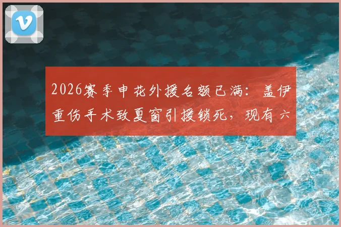 2026赛季申花外援名额已满：盖伊重伤手术致夏窗引援锁死，现有六外援组合详解与应对策略